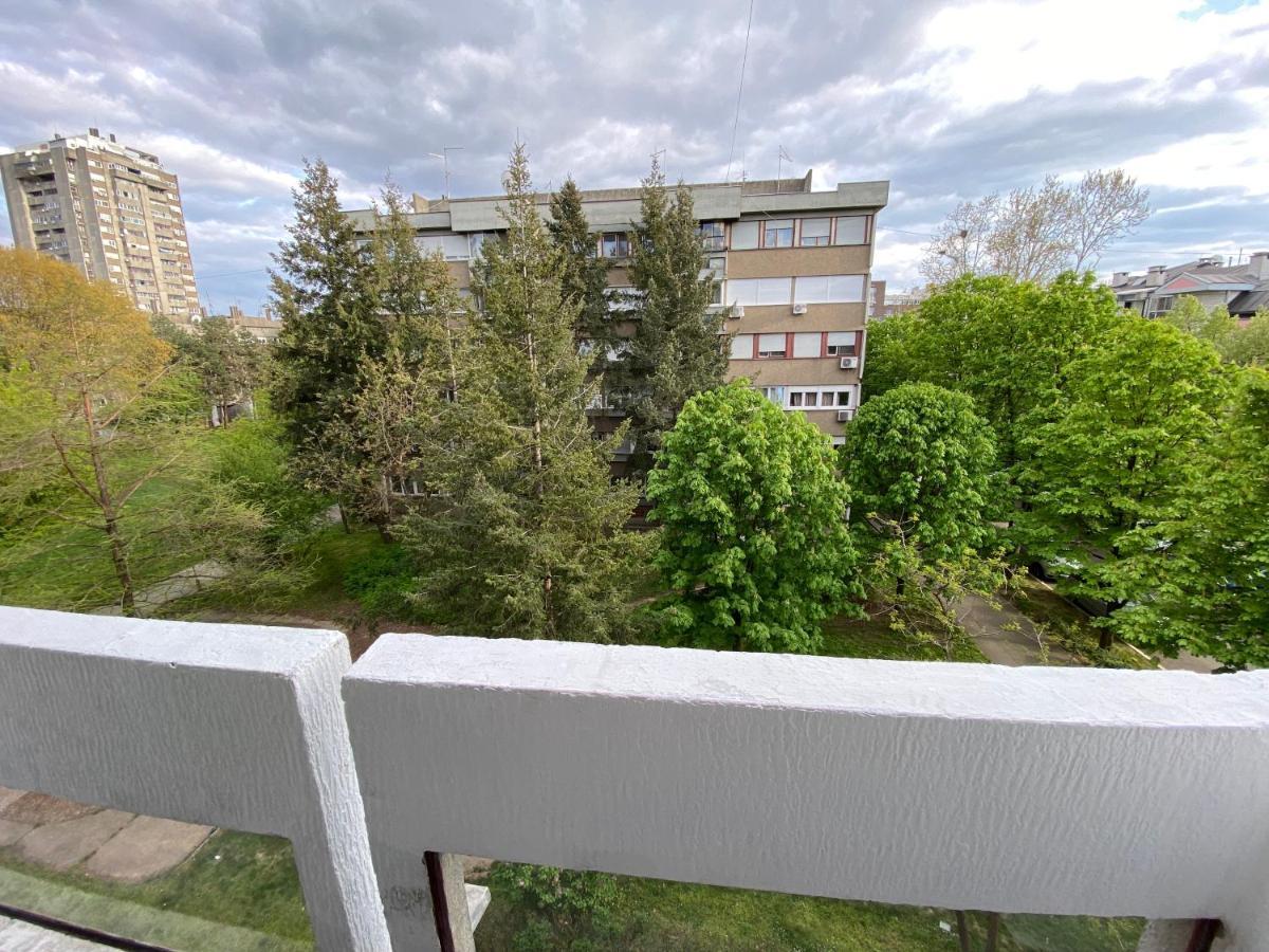 Hidden Gem Apartment Belgrad Exterior foto
